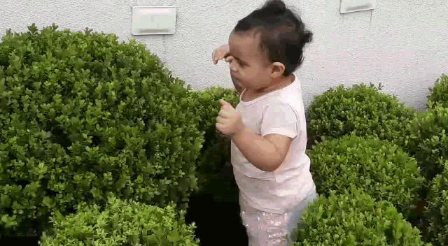 Gardening Gardenqueiros GIF