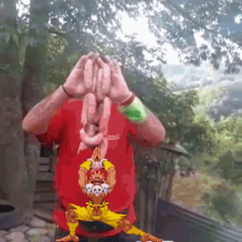Gardino Dhalsim Gardino Das Indias GIF