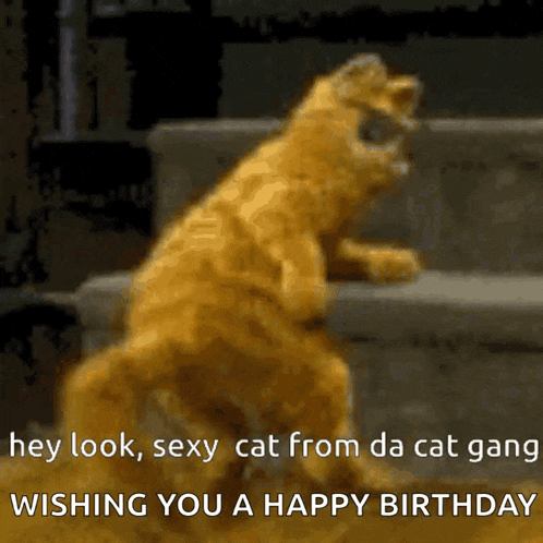 Garfield Cat Gang GIF