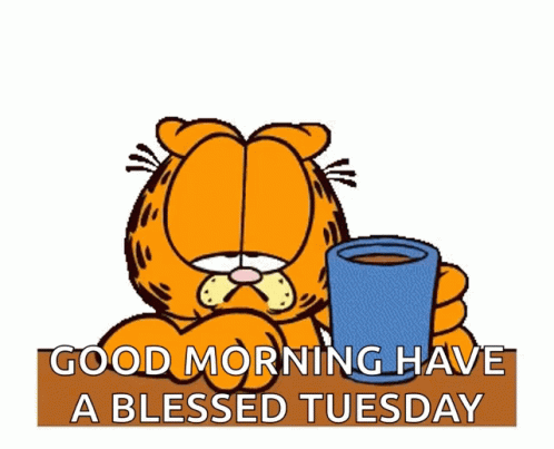 Garfield Coffee GIF. This 498 x 403 animated GIF is part of our lustiger dienstag collection. Related themes include cat, coffee, exhausted. Created by…