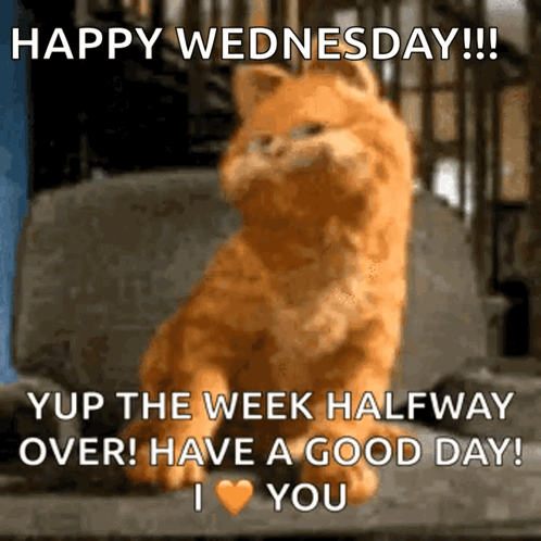 Garfield GIF