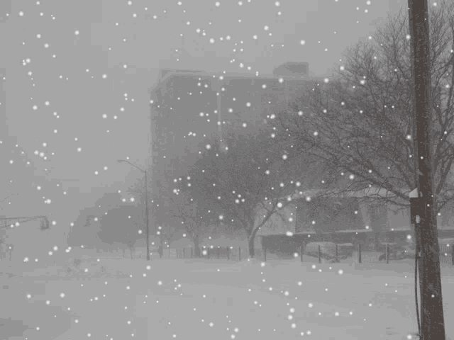 Gary Indiana GIF