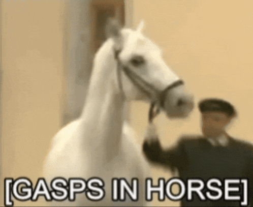 Gasps In Horse Meme GIF
