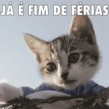 Gatinho, Mão No Rosto, Putz, Já é Fim De Férias GIF