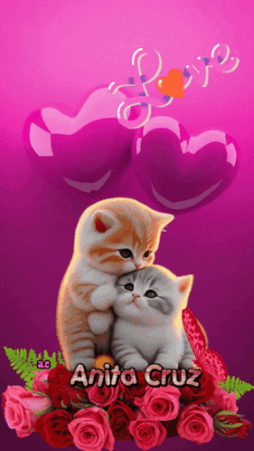 Gatitos GIF