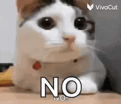 Gatoeale Aleegato GIF
