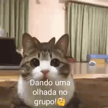 Gatos Fofoqueiros GIF. This 352 x 352 animated GIF is part of our isso a tudo pessoal collection. Created by fefactori. View the original animation, share…