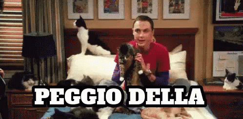 Gattara Simpson Gatti Pazza Vecchietta Gattini Micetti Mici Vecchia Folle Follia Sheldon GIF. This 498 x 244 animated GIF is part of our gattara simpson…
