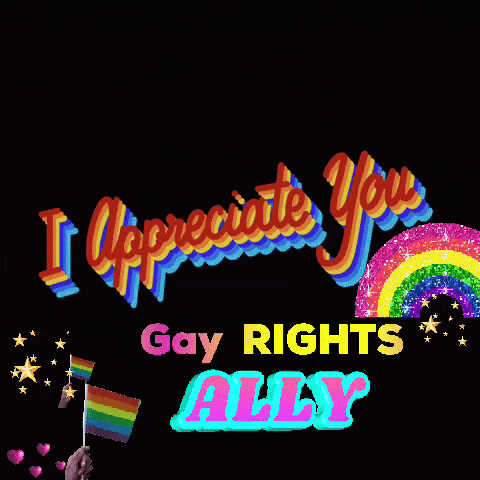 Gay Baseball Gay Ally GIF
