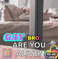 Gay Bros Gay Bears GIF