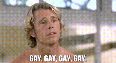 Gay Gay Gay The Hot Chick GIF
