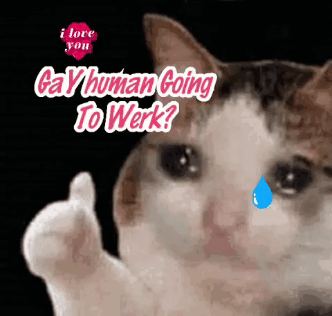 Gay Gayz GIF. This 480 x 456 animated GIF is part of our funny sad collection. Related themes include cat, gay. Created by iamuaremod. View the original…