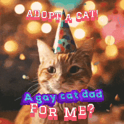 Gay Non Profits Cat GIF