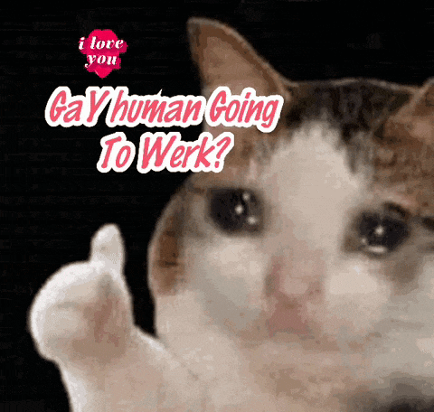 Gay Non Profits GIF
