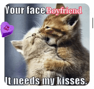 Gay Relationship Lgbtq GIF