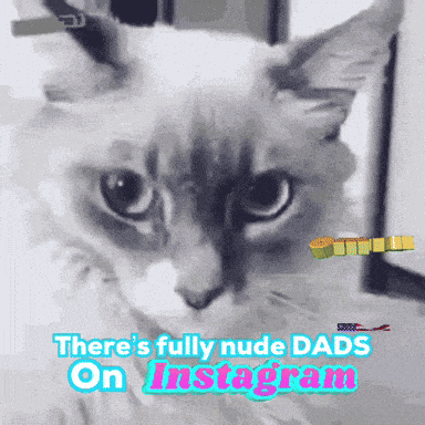 Gay Usa Usa Gay GIF