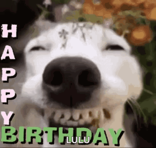 Geburtstag Happy Birthday GIF