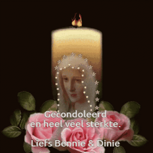 Gecondoleerd Dinie GIF
