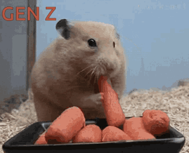 Gen Z Tragando GIF