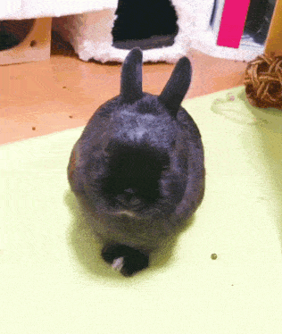 Gentlebunny Awesome GIF