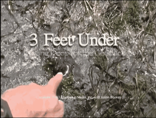 Geoduck Seafood GIF