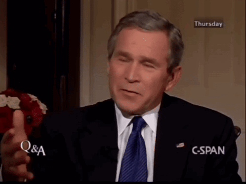 George W Bush George Bush GIF