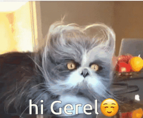 Gerel Hi Gerel GIF