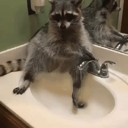 Germaphobe Wash GIF. This 498 x 498 animated GIF is part of our lavado de manos collection. Related themes include funny, hands. Created by…