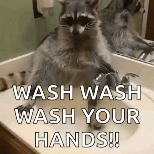 Germaphobe Wash Your Hands GIF. This 498 x 498 animated GIF is part of our lavado de manos collection. Related themes include funny. Created by MarissaAnne…