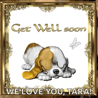 Get Better Soon Get Well GIF