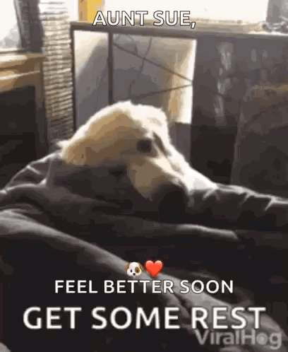 Get Well Soon GIF