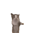 Gianbortion Cat Sticker