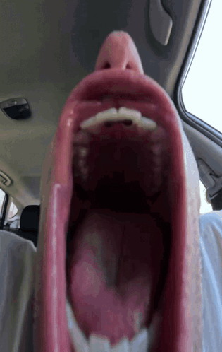 Giant Mouth Dan Hentschel GIF