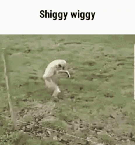 Gibbon Run GIF