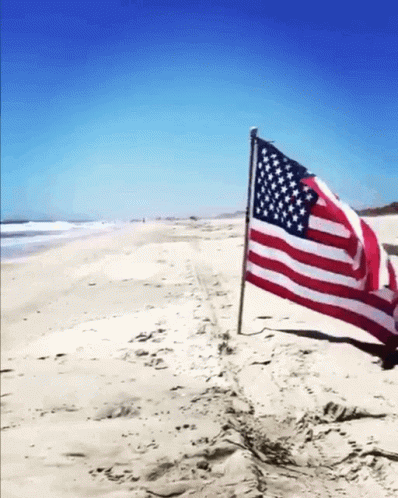 Gif America GIF. This 398 x 498 animated GIF is part of our most american collection. Related themes include gif. Created by jmyers21. View the original…