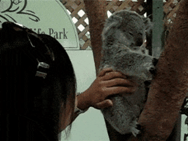 Gif GIF