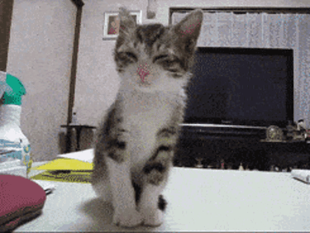 Gif GIF