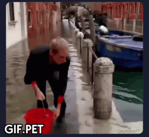 Gif Pet Venice GIF