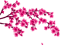 Gif Png Sticker