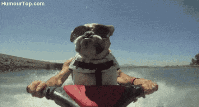 Gif GIF