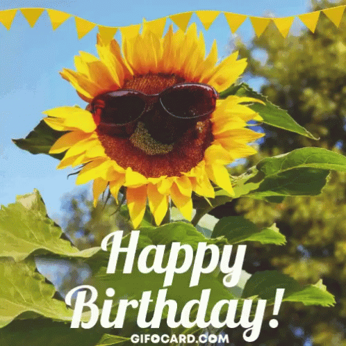 Gifocard Birthday Gif GIF