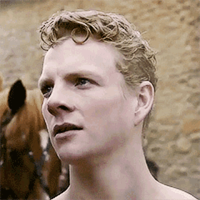 Gifs GIF