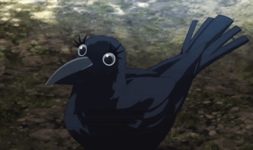 Ginko Crow GIF