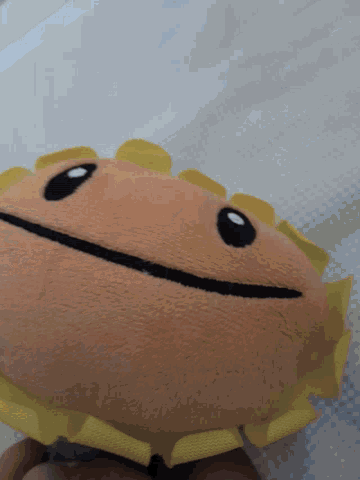 Gira Sola GIF