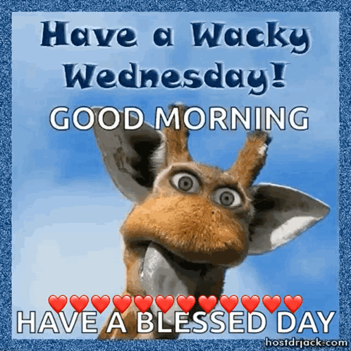 Giraffe Wednesday GIF. This 498 x 498 animated GIF is part of our lustige freitags bilder collection. Related themes include wednesday. Created by pbenton…