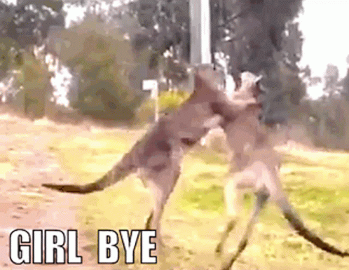 Girl Bye Bye Felicia GIF