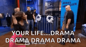 Girl Fight Jerry Springer Fight GIF