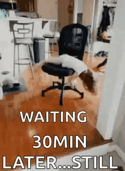 Girl Spinning GIF