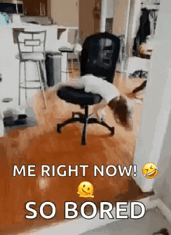 Girl Spinning GIF