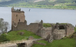 Girraffe Loch GIF. This 294 x 184 animated GIF is part of our loch ness collection. View the original animation, share it, or browse related GIFs.